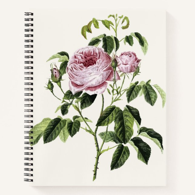 Carnet Vintage rose Timeless (Devant)