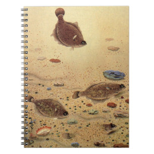 Carnet Vintages, Marine Ocean Life Poisson plat