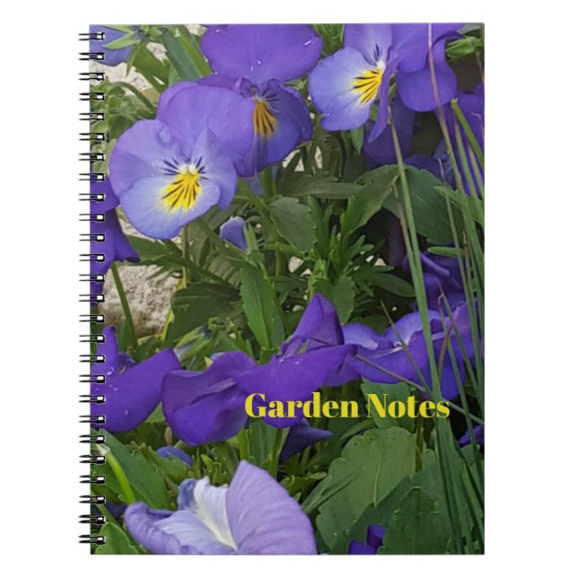 Carnet Violas Violets Dans Un Conteneur De Jardin (Devant)