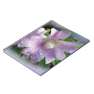 Carnet Violet clair