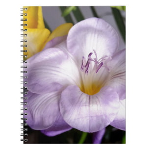 Carnet violet freesia
