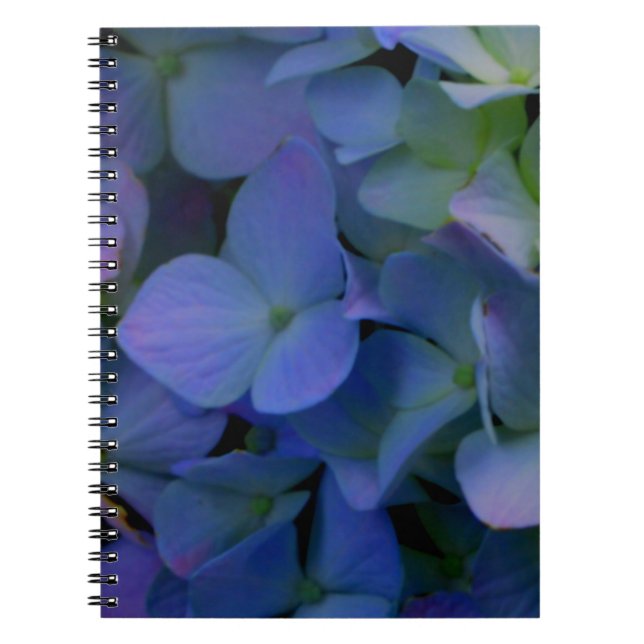 Carnet Violet violet rose bleu hydrangée fleurie (Devant)