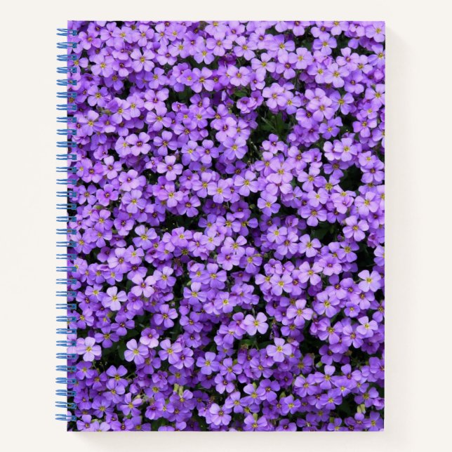 Carnet violets (Devant)