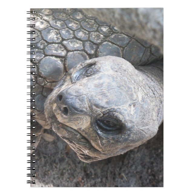 Carnet Visage de tortue (Devant)