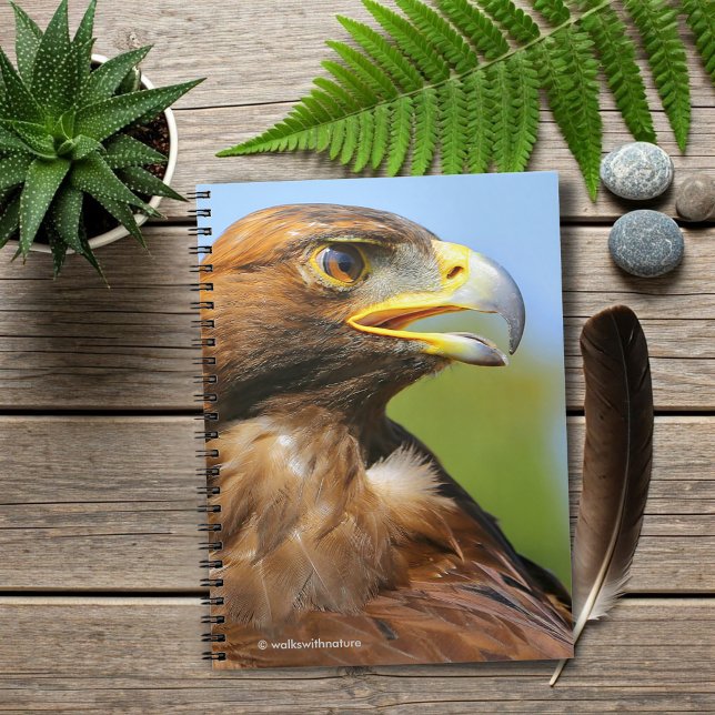 Carnet Vision d'un bel aigle d'or jeune (Vision of a Beautiful Young Golden Eagle Journal Cover Photo)