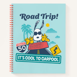 Carnet Voyage sur route   cacahuètes C'est Cool au covoit
