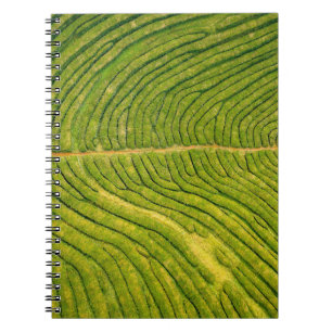 Carnet Vue aérienne du champ vert ouvert