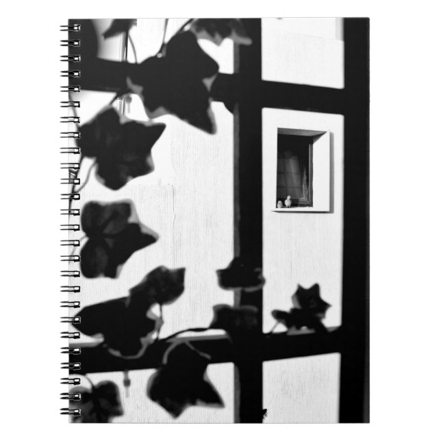 Carnet Vue de la colombe (Devant)
