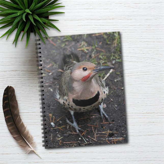 Carnet Vue de l'oeil d'oiseaux du pic-blanc de Flicker du (Bird's Eye View of a Northern Flicker Journal Cover Photo)