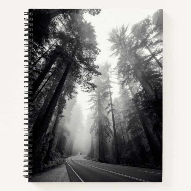 Carnet Vue Des Séquoia Dans La Forêt (Devant)