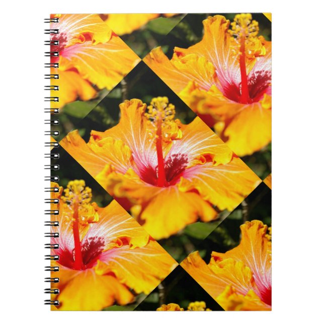 Carnet Vue latérale de l'Hibiscus orange (Devant)