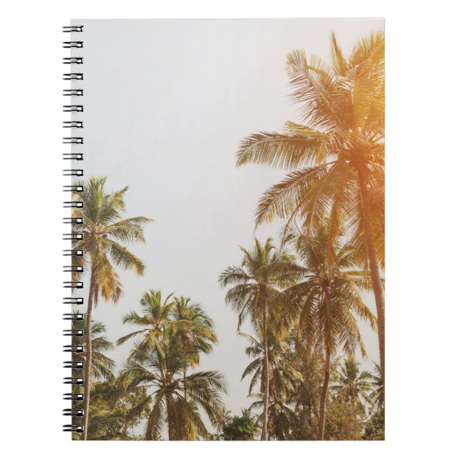 Carnet Vue Pittoresque sur la plage de Palm (Devant)