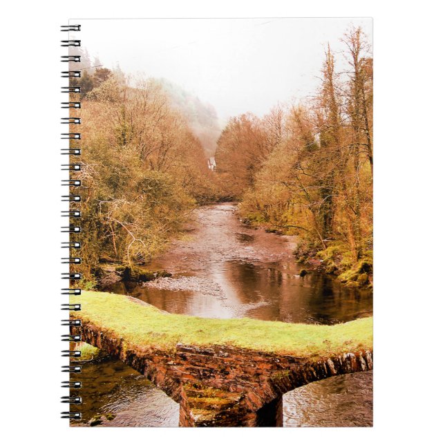 CARNET VUES DES ALLES (Devant)