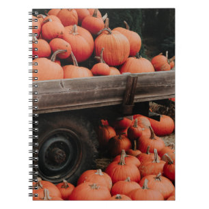 Carnet wagon citrouille