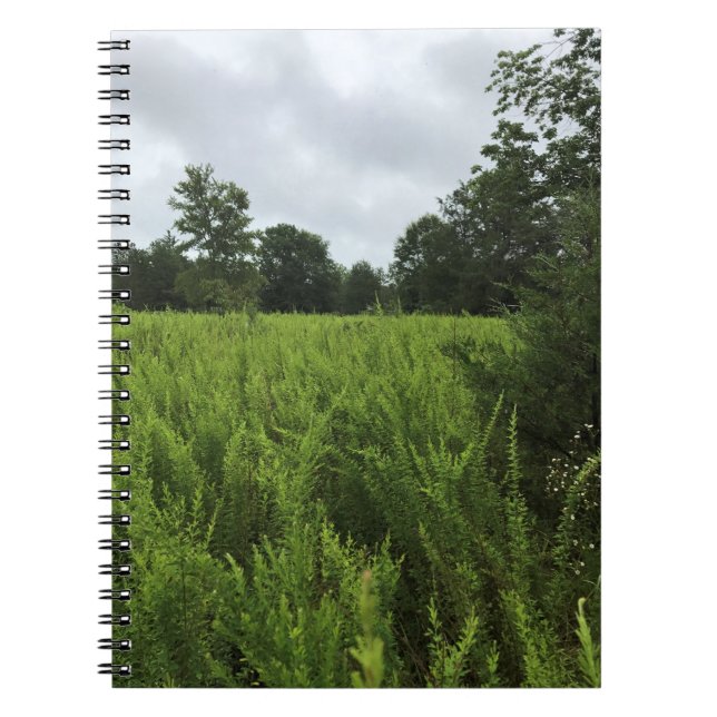 Carnet Walking in the Forest, Chester, Caroline du Sud Ca (Devant)
