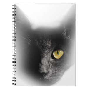 Carnet Wellcoda un chaton bizarre observé de chat noir