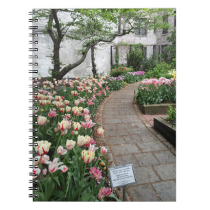 Carnet West Side Community Garden Tulip New York City NYC