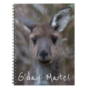 Carnet Western Grey Kangaroo Australie