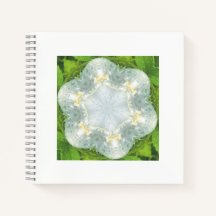 Wet White Wild Rose - Mandala green - by ID Art