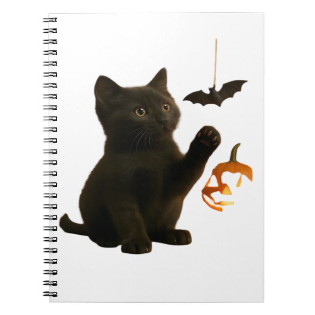 Carnet Whisker Hex & Lantern Glow Classic T-Shirt (Devant)