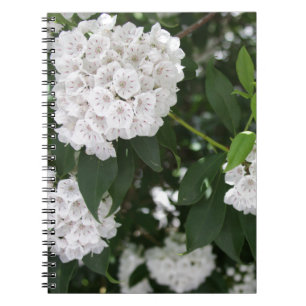 Carnet White Mountain Laurel Star Fleurs en forme