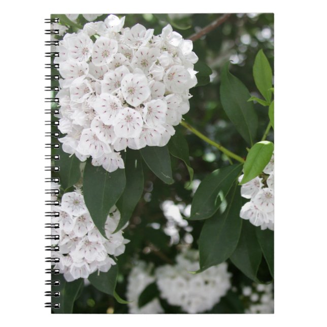 Carnet White Mountain Laurel Star Fleurs en forme (Devant)