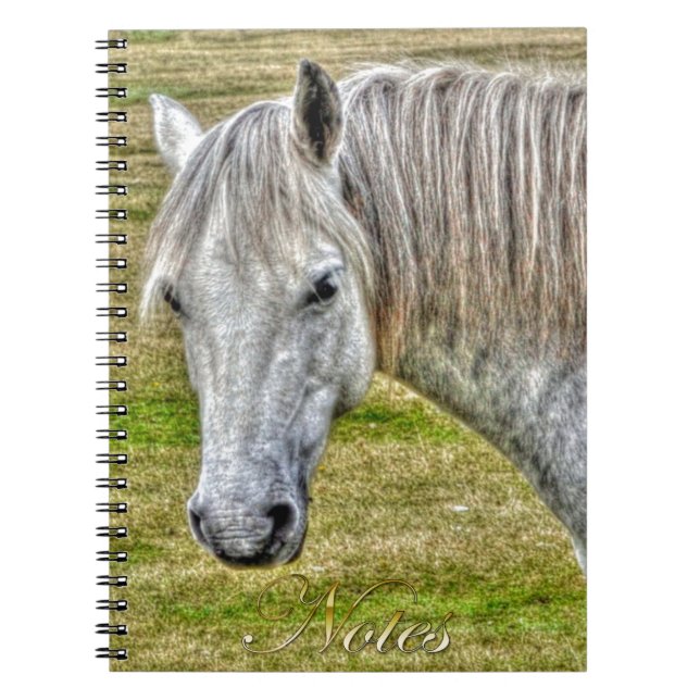 Carnet White New Forest Pony Wild Horse (Devant)