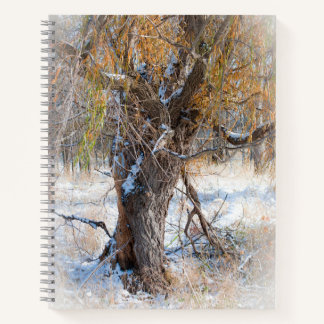 Carnet Willow Walking