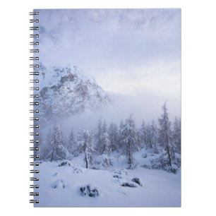 Carnet Winter wonderland, fog, spruce forest and mountain