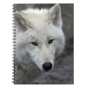 Carnet Wolf 015