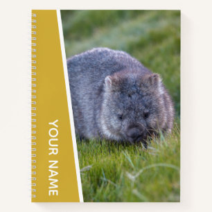 Carnet Wombat Australie mignonne animal, or