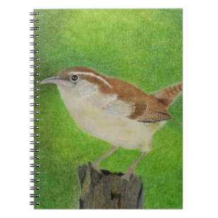 Carnet Wren