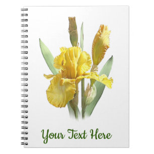 Carnet Yellow Bearded Iris Flower