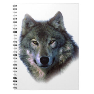 Carnet Yeux de loup gris