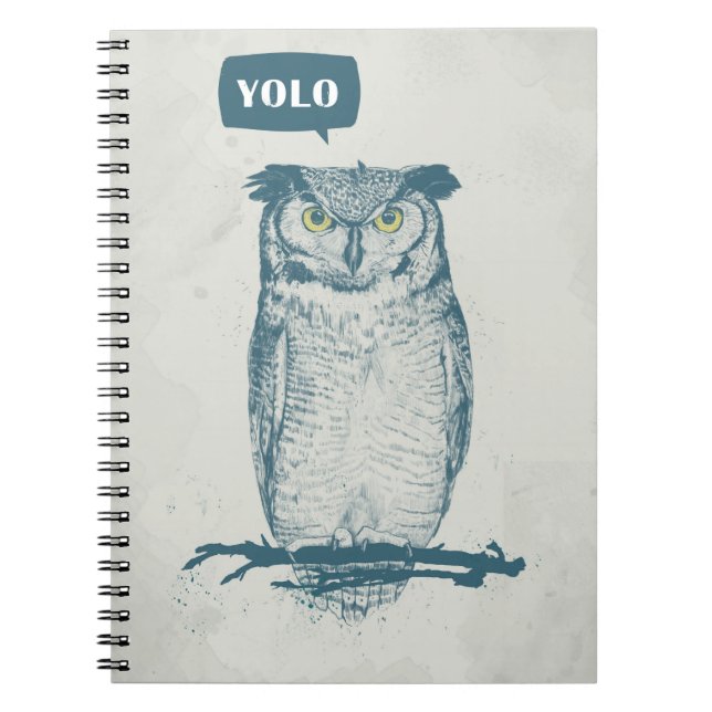 CARNET YOLO (Devant)