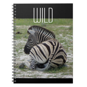 Carnet Zebra
