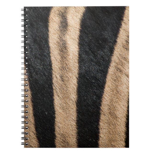 CARNET ZEBRA POSTER DE ANIMAL STRIPE (Devant)