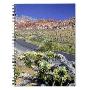 Carnet Zone nationale de conservation de Red Rock Canyon,