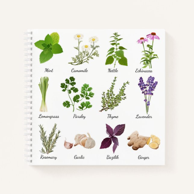 Carnets de recettes Herbes (Devant)