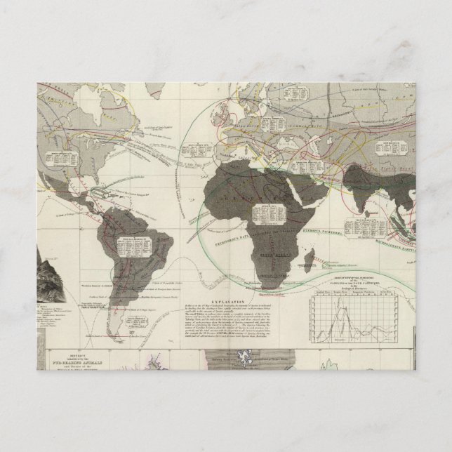 Carnivora Postkarte (Vorderseite)