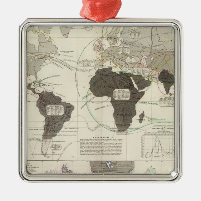 Carnivora Silbernes Ornament (Vorne)