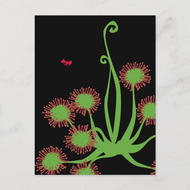 Carnivorous Sundew-Pflanze Postkarte (Vorderseite)