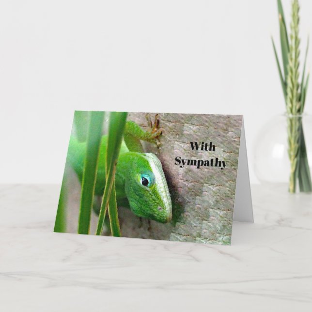 Carolina Anole Green Lizard Foto Beileid Karte (Vorderseite)