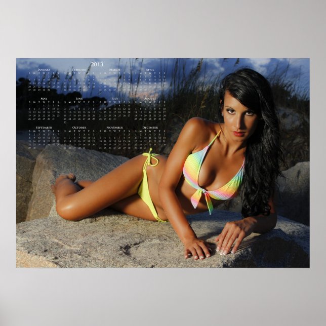 Carolina Beautés côtières : 2013 Calendrier Poster (Devant)