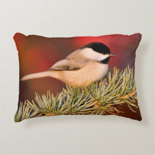 Carolina Chickadee in Blauem Atlas-Zeder Dekokissen