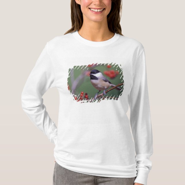 Carolina Chickadee T-Shirt (Vorderseite)