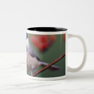 Carolina Chickadee Zweifarbige Tasse