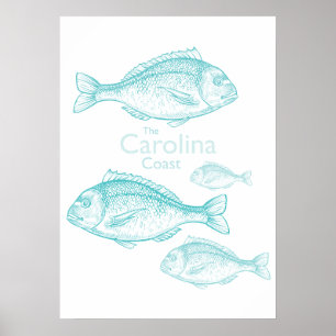 Carolina Coast Vintage Türkis Salz Wasser Fisch Poster