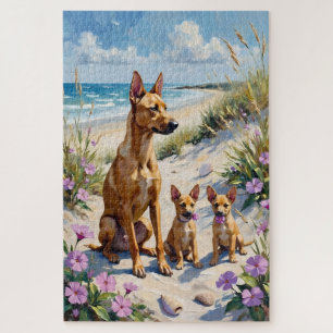 Carolina Dog Küsten-Dünen-Kunst