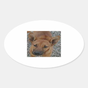 Carolina dog.png ovaler aufkleber